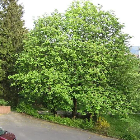 Apartamento Ruheoase Müller *